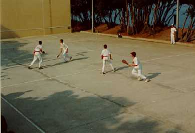 fronton1.jpg (10461 octets)